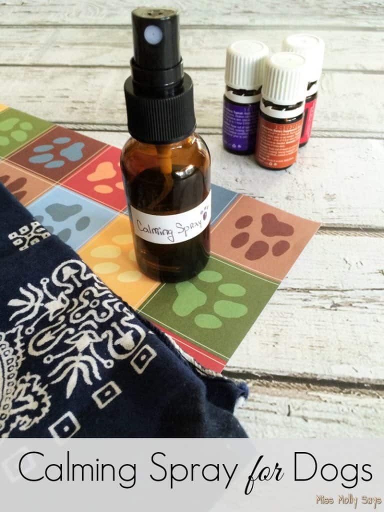 DIY Dog Calming Spray Miss Molly Says