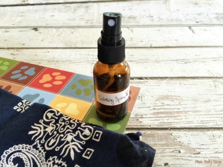 DIY Dog Calming Spray Miss Molly Says