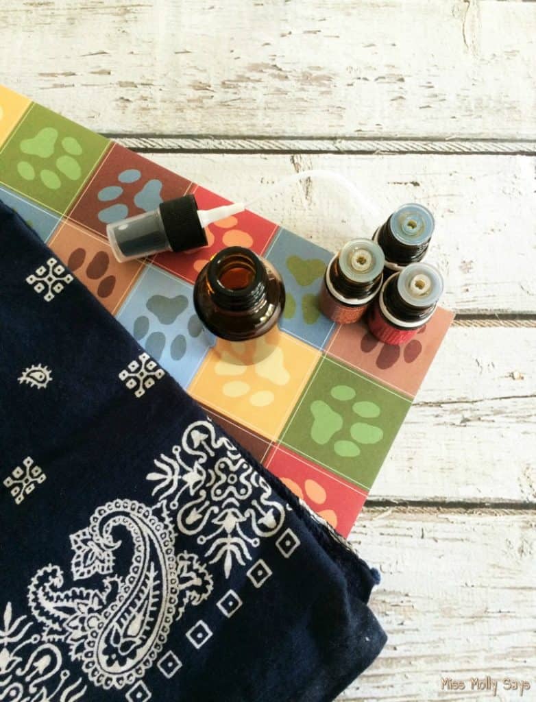 DIY Dog Calming Spray Miss Molly Says