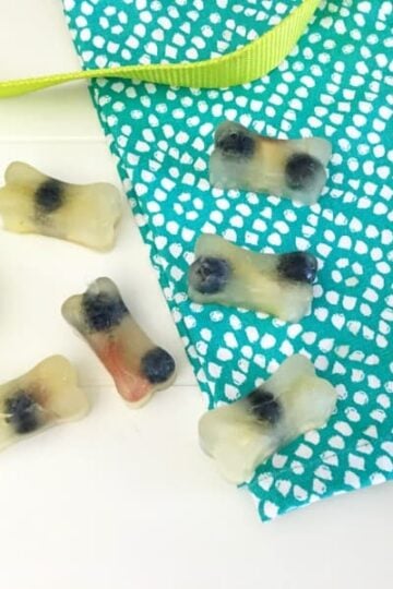 Homemade Frozen Apple and Blueberry Dog Treats
