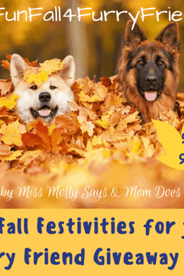 Fun Fall Festivities for your Furry Friend Giveaway Hop