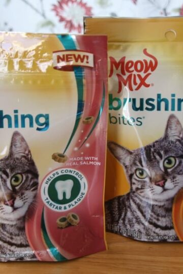 Meow Mix Brushing Bites Helps Keep Daisy's Teeth Clean