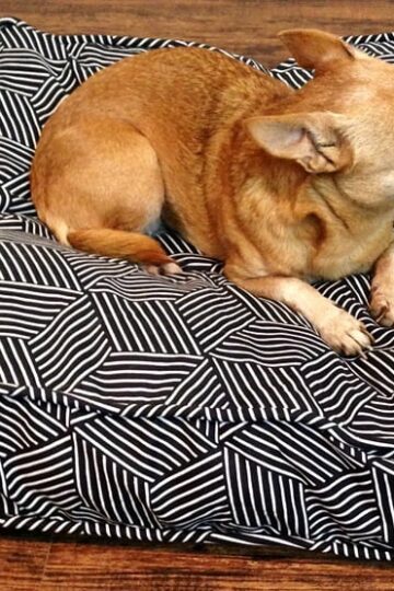 Molly Mutt Dog Bed in Rough Gem pattern with tan Chihuahua