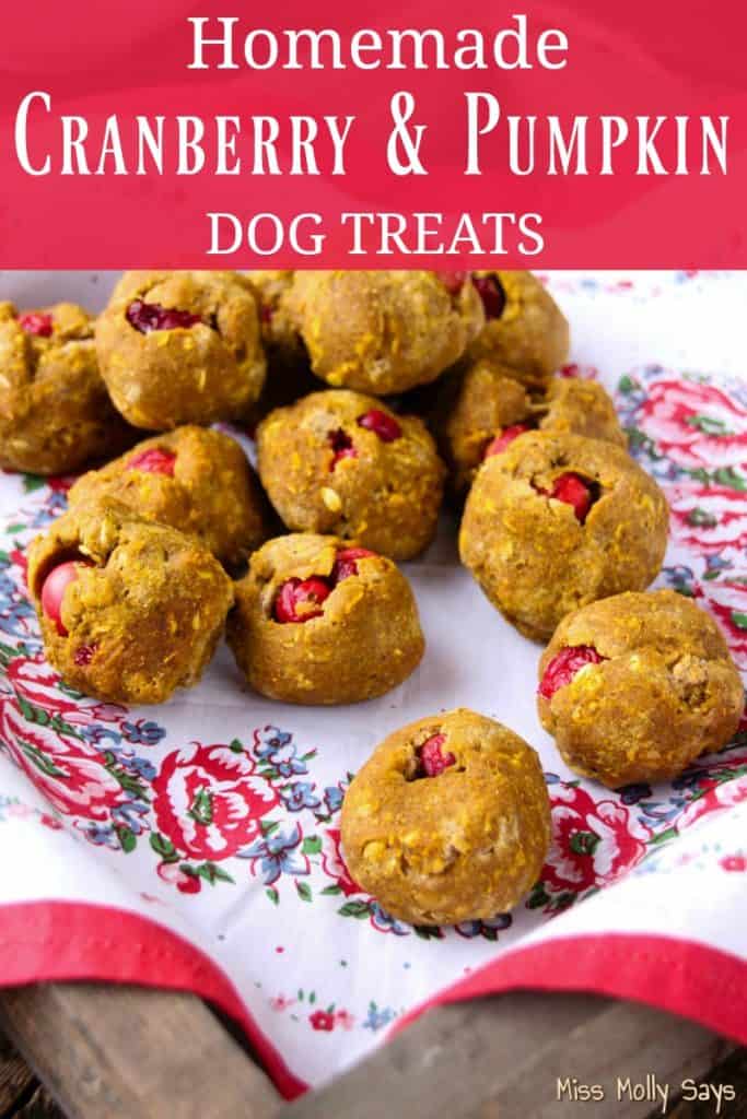 Homemade Cranberry & Pumpkin Dog Treats Miss Molly Says
