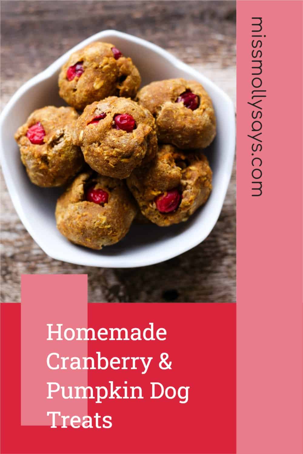 Homemade Cranberry & Pumpkin Dog Treats Miss Molly Says