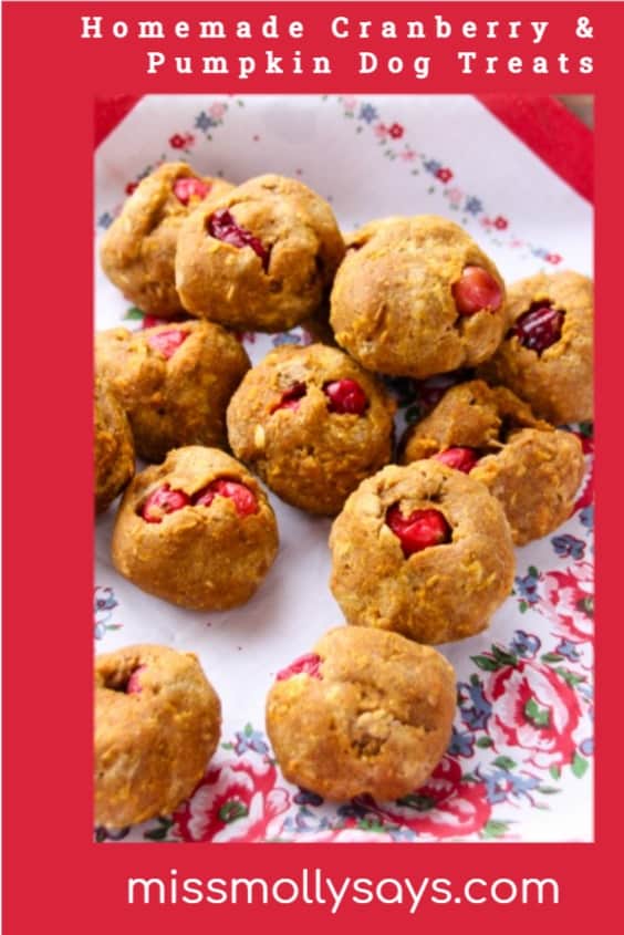 Homemade Cranberry & Pumpkin Dog Treats Miss Molly Says