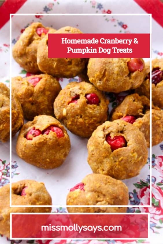 Homemade Cranberry & Pumpkin Dog Treats Miss Molly Says