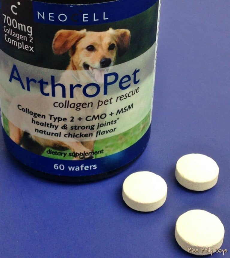 ArthroPet Collagen Supplements Helping Pets with Joint Mobility and