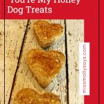 Valentine's Day 'You're My Honey' Dog Treats Recipe