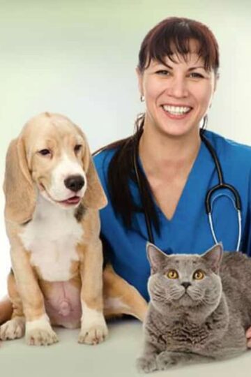 Your Furry Children How Technology Plays a Role in Veterinary Care