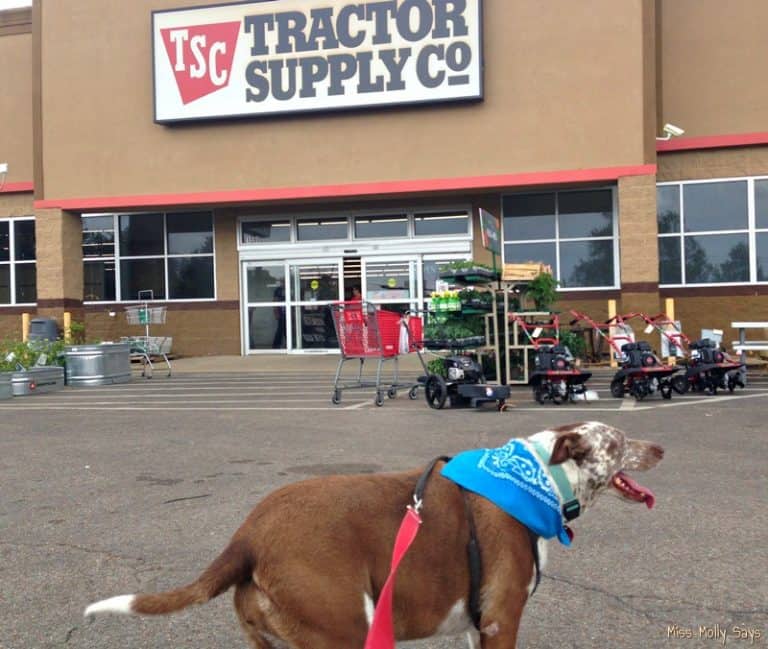 Miss Molly Shops the New Expanded Offering of Purina Pet Products at 