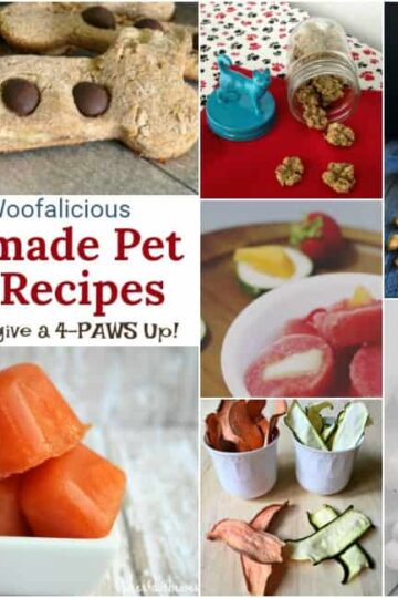 22 Woofalicious Homemade Pet Treat Recipes your Pet will give a 4-PAWS Up