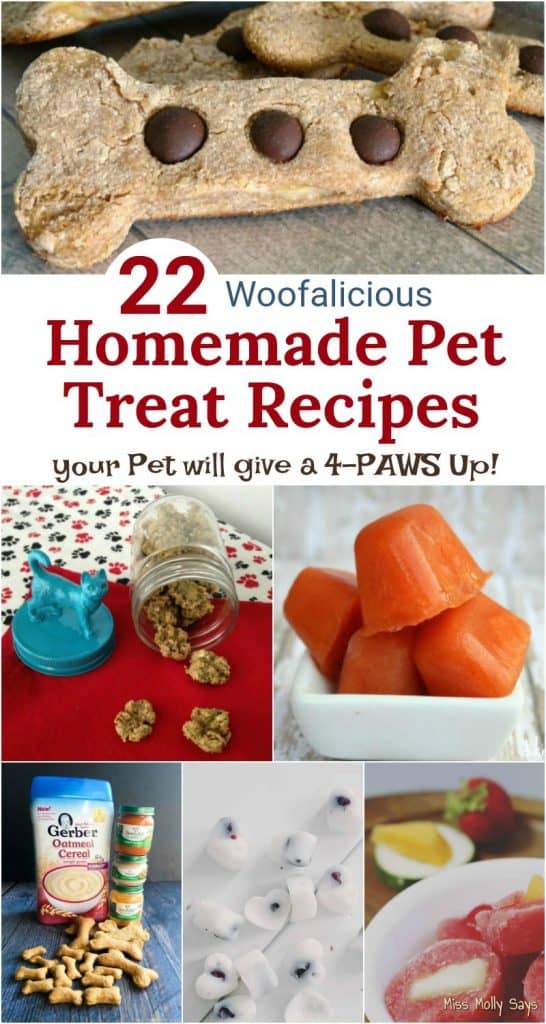 22 Woofalicious Homemade Pet Treat Recipes