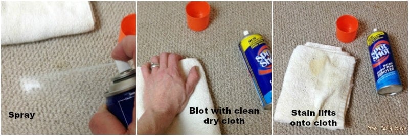 How to use Spot Shot Instant Carpet Stain Remover to clean stains