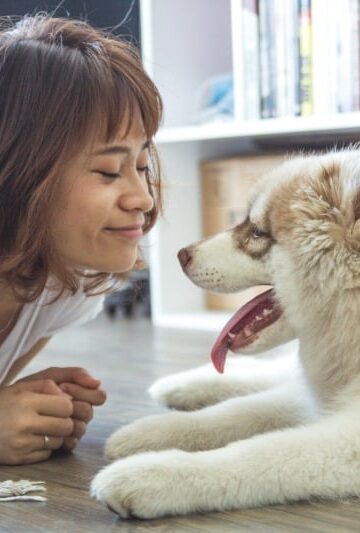 Leaving your pet with a friend