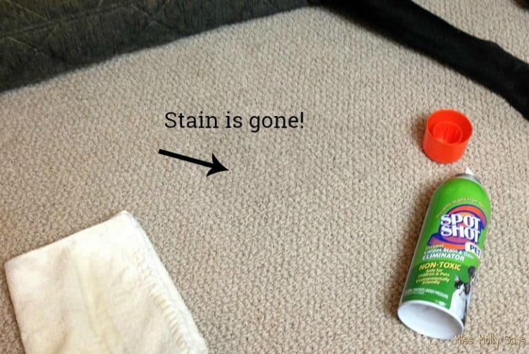 Spot Shot Pet Instant Carpet Stain & Odor Eliminator is a Safe, Non