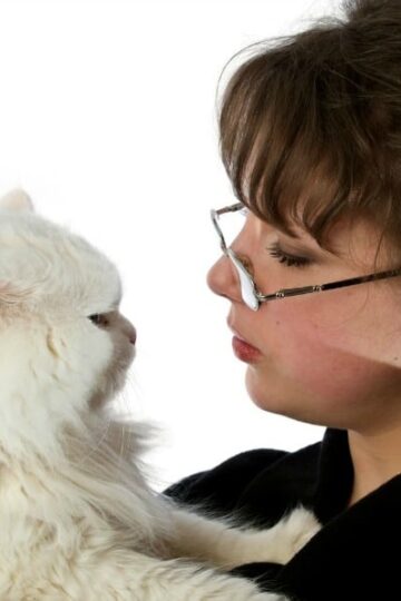 Should You Bring Your Pet to College