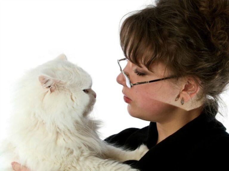 Should You Bring Your Pet to College? Miss Molly Says