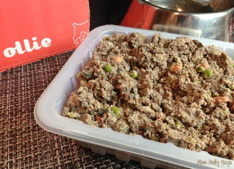 Ollie Dog Food Makes Feeding Raw Easy and Convenient!