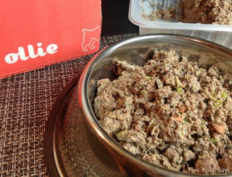 Ollie Dog Food Makes Feeding Raw Easy and Convenient!
