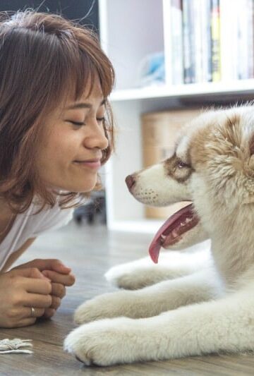 Options to Take When You Can’t Afford Proper Pet Care