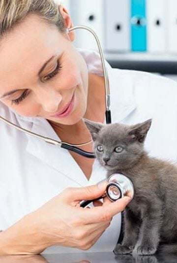 How Modern Technology is Improving Veterinary Care