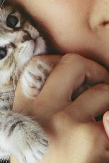 Adopting a Kitten? 5 Tips for Raising Your Feline Friend