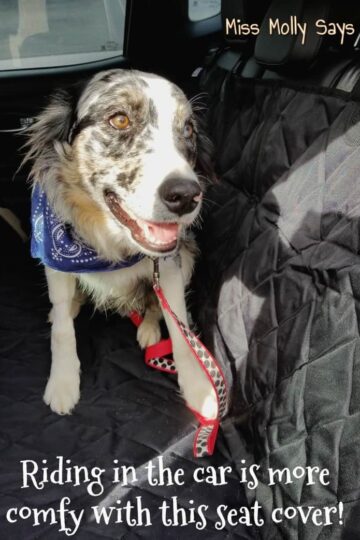 Car Seat Cover by Knines