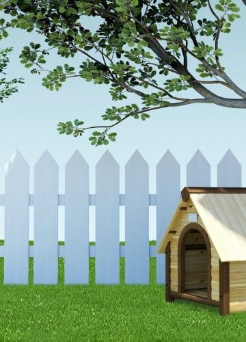 5 Things to Consider When Making a House for Your Dog