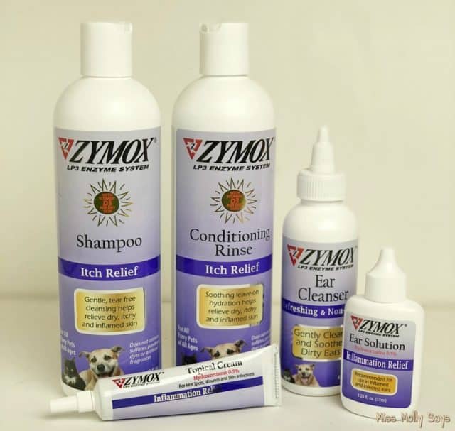 Provide Soothing Allergy Relief for Your Dog with the Help of Zymox