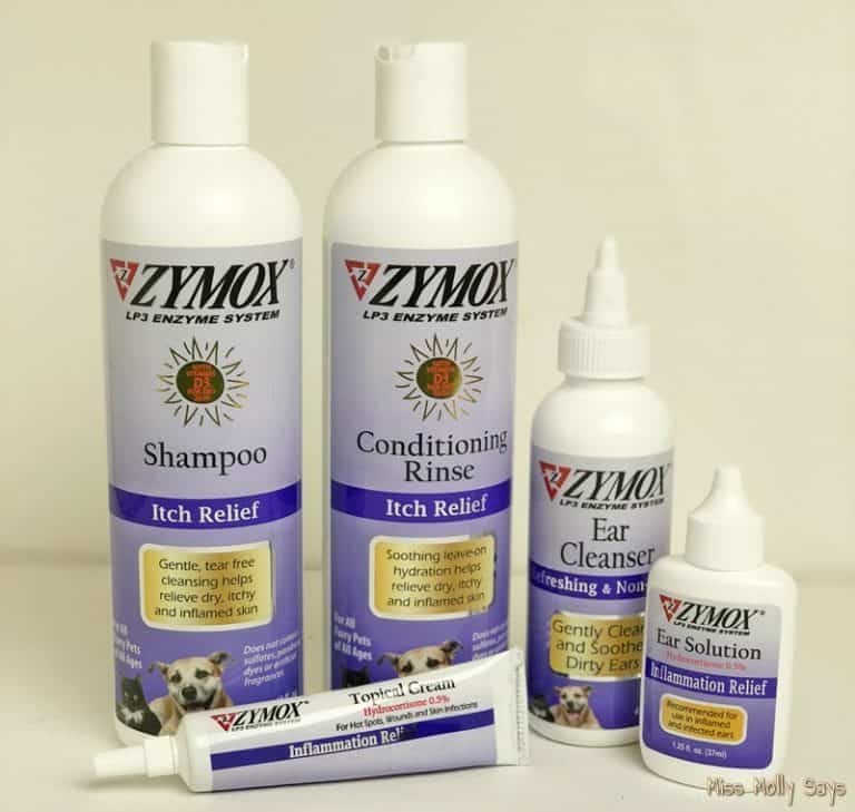 Provide Soothing Allergy Relief for Your Dog with the Help of Zymox