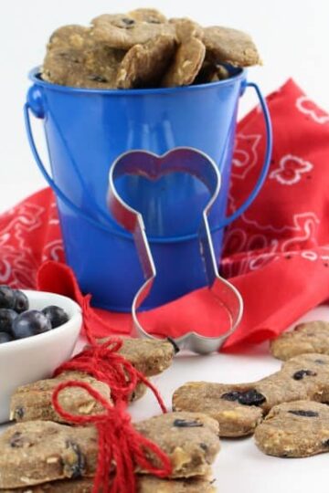 Homemade Blueberry and Banana Dog Biscuits