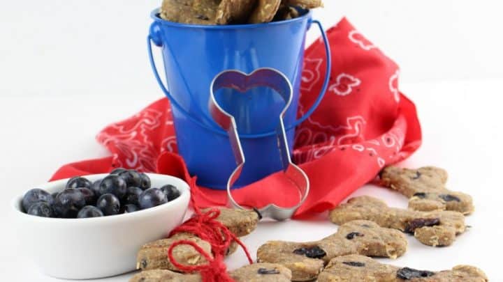 blueberry dog biscuits
