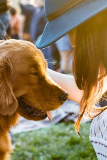 How To Ensure That Your Pet Is Part Of The Family