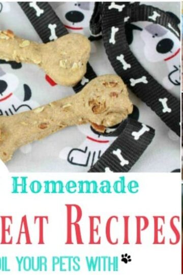 25 Homemade Pet Treat Recipes to Spoil Your Pets With