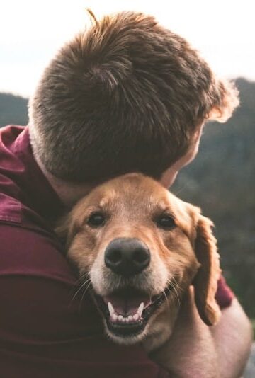 A Guide To Starting A Pet Based Business You're Passionate About