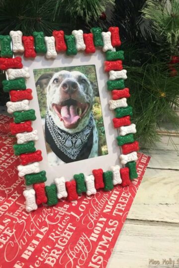 DIY Dog Bone Picture Frame