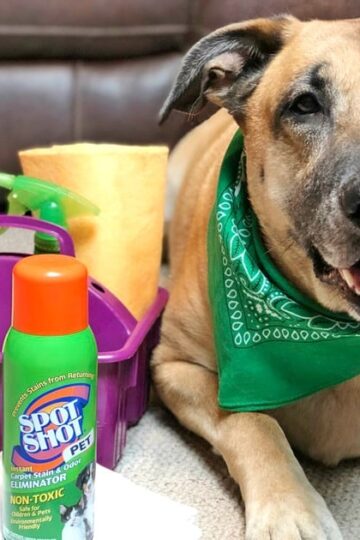 5 Spring Cleaning Tips Specifically for Pet Owners + a Free Spring Cleaning Checklist & Calendar #SpotShot