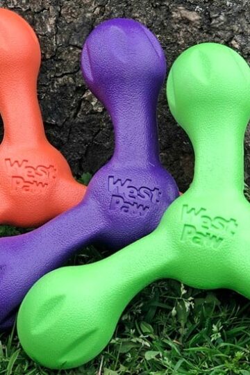 West Paw Zogoflex Echo Skamp dog toy