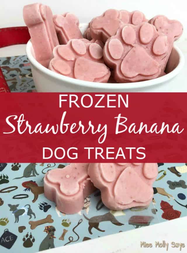 Homemade Frozen Strawberry Banana Dog Treats