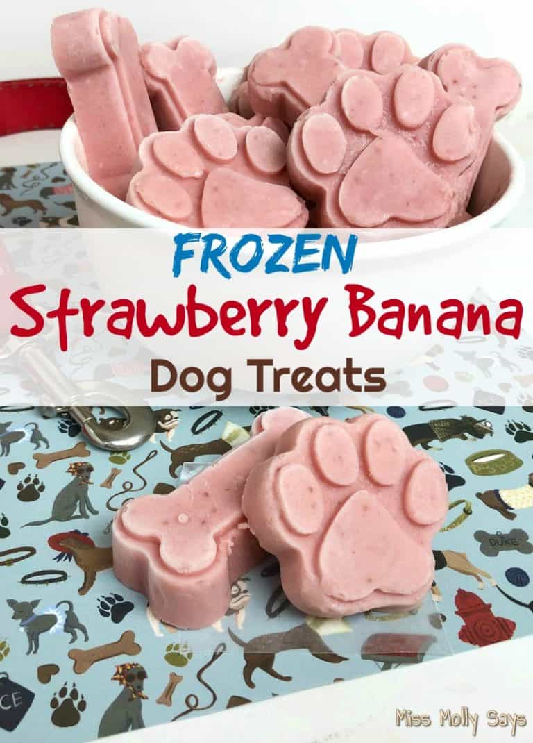 Homemade Frozen Strawberry Banana Dog Treats
