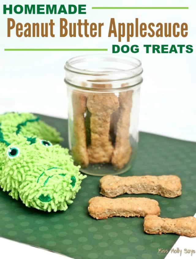 Homemade Peanut Butter Applesauce Dog Treats