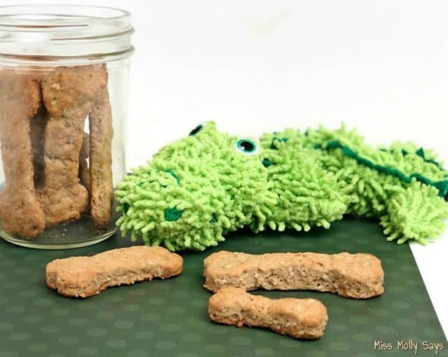 Homemade Peanut Butter Applesauce Dog Treats