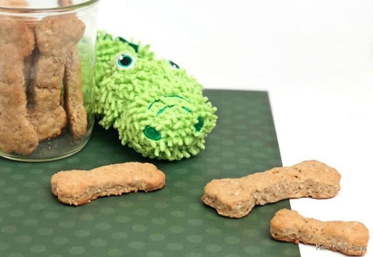 Homemade Peanut Butter Applesauce Dog Treats