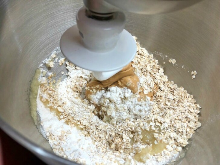 Homemade Peanut Butter Applesauce Dog Treats