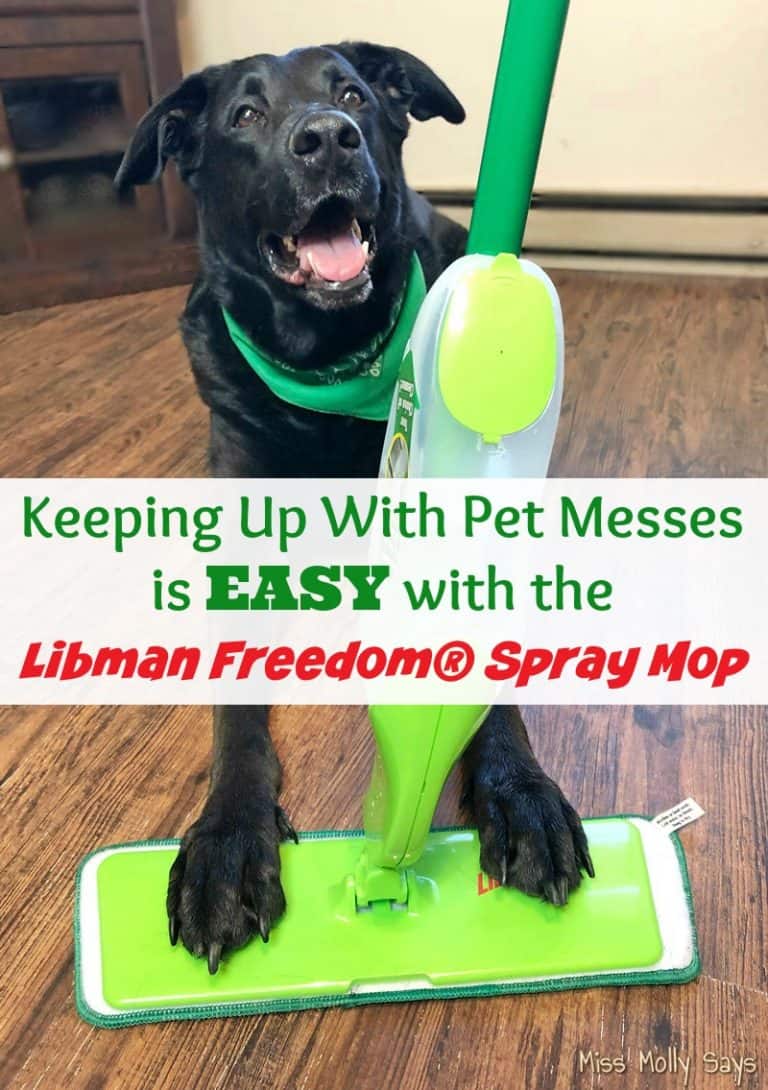Keeping Up With Pet Messes is Easy with the Libman Freedom Spray Mop 
