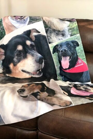 A Custom Sherpa Photo Blanket from Collage.com makes a Pawsomely Unique Gift!