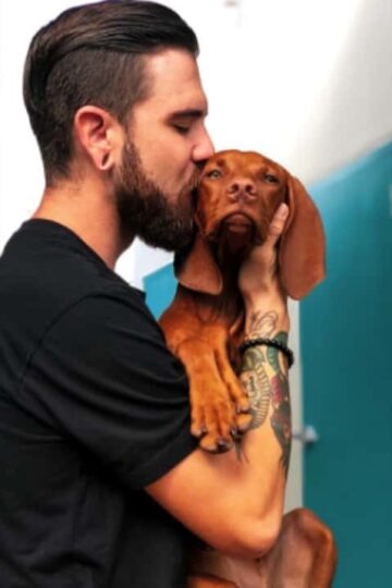Tips for Making Your Dog Calmer During Boarding