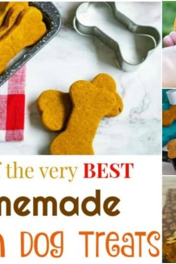 20 of the very Best Homemade Pumpkin Dog Treats