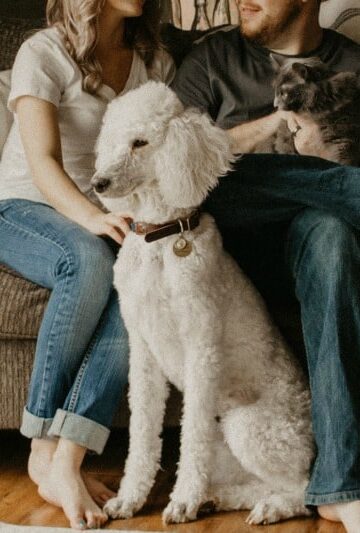 4 Fun Ways to Include Your Dog in Family Pictures